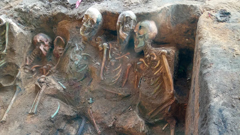 skeletons in a grave